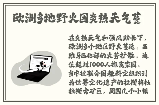 欧美精产国品一二三
